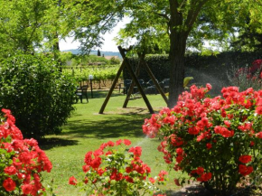 Agriturismo Fusini Magliano In Toscana